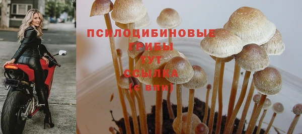 дурь Абаза