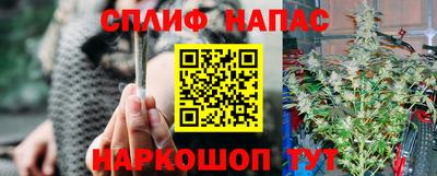 альфа пвп Гай